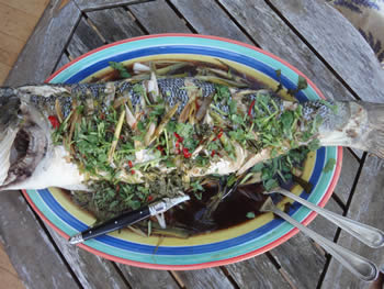 sea bass chinese style